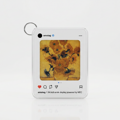 "Social Media" e-Ink Tag